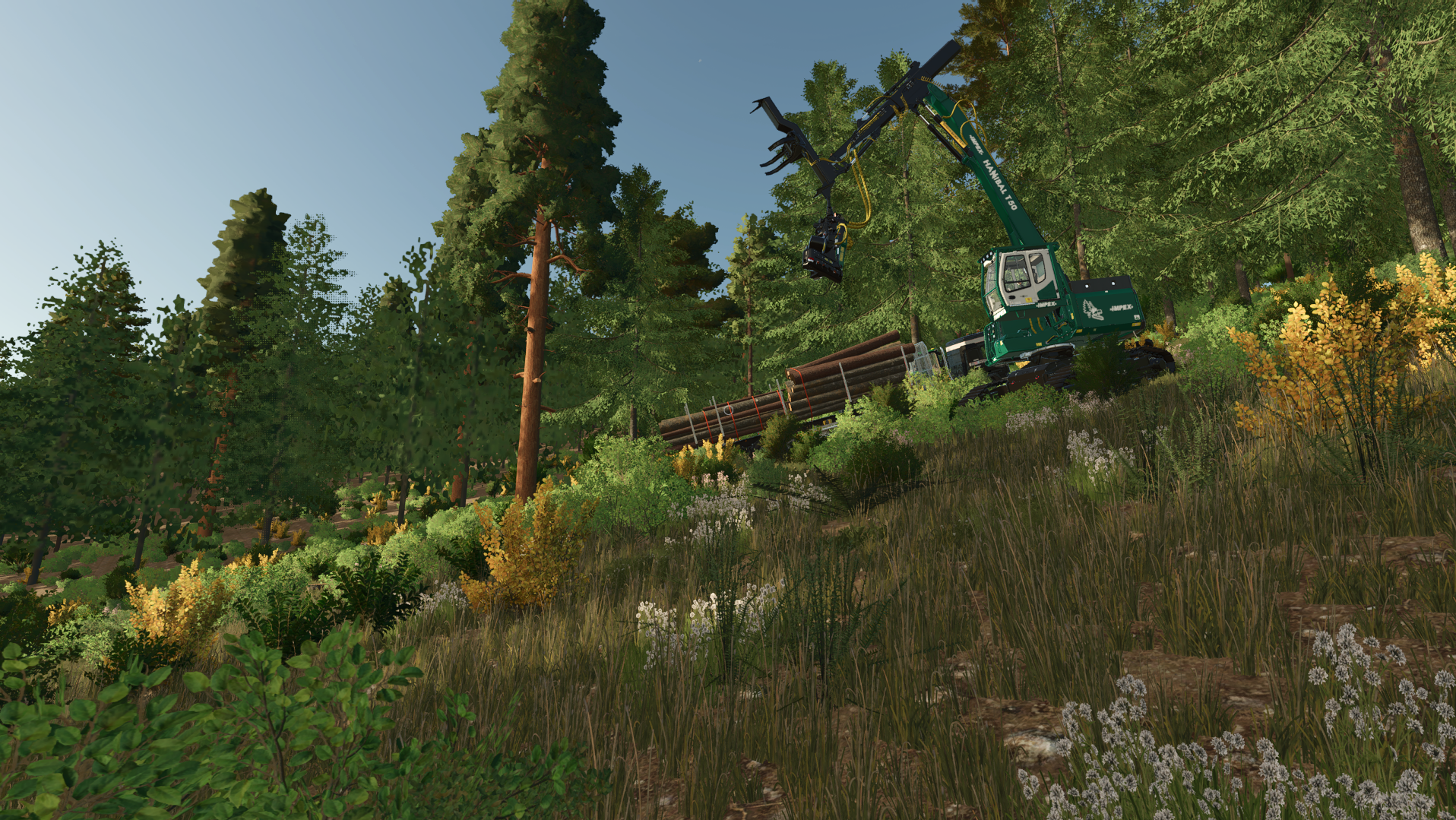 Granite Ridge Operations logging and mining view